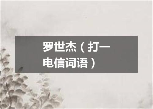 罗世杰（打一电信词语）