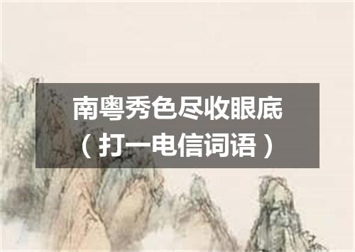 南粤秀色尽收眼底（打一电信词语）