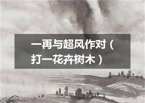 一再与超风作对（打一花卉树木）