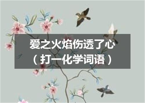爱之火焰伤透了心（打一化学词语）