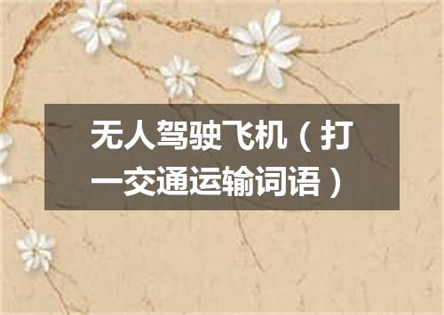 无人驾驶飞机（打一交通运输词语）
