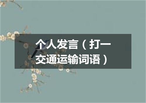 个人发言（打一交通运输词语）