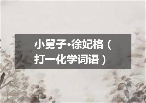 小舅子·徐妃格（打一化学词语）