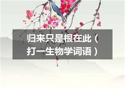 归来只是根在此（打一生物学词语）