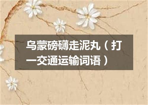 乌蒙磅礴走泥丸（打一交通运输词语）