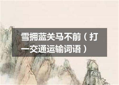 雪拥蓝关马不前（打一交通运输词语）