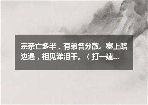 宗亲亡多半，有弟各分散。塞上路边遇，相见涕泪干。（打一建设建筑词语）