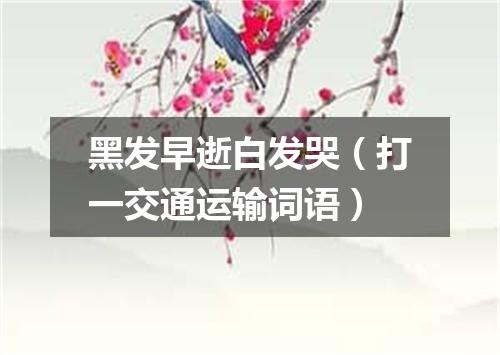 黑发早逝白发哭（打一交通运输词语）