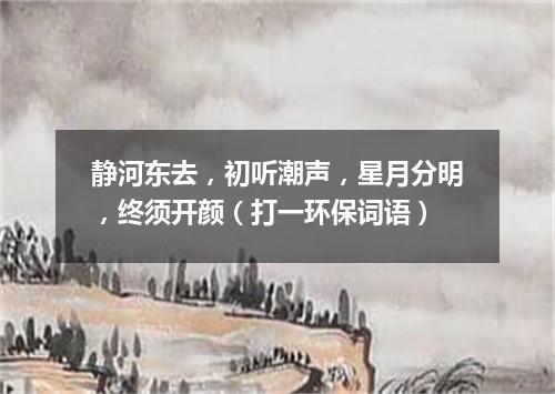 静河东去，初听潮声，星月分明，终须开颜（打一环保词语）