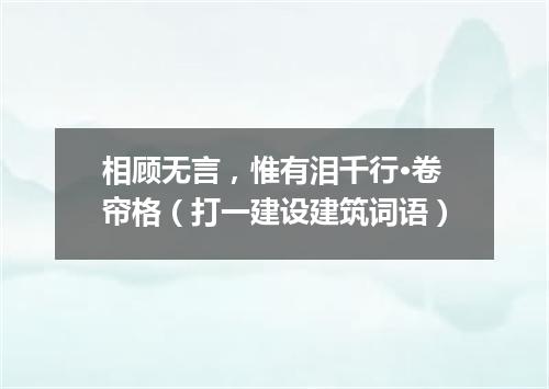 相顾无言，惟有泪千行·卷帘格（打一建设建筑词语）