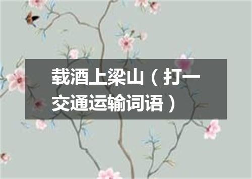 载酒上梁山（打一交通运输词语）