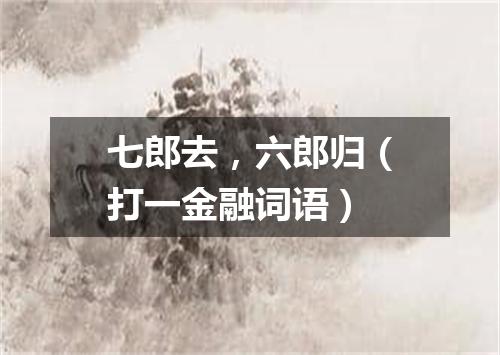 七郎去，六郎归（打一金融词语）