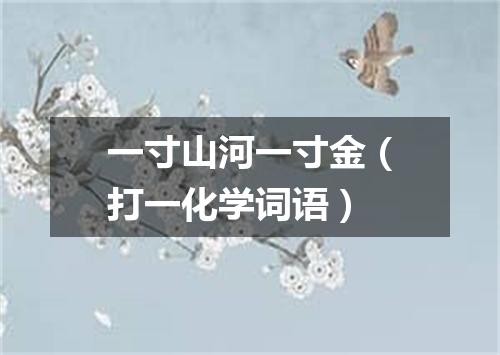 一寸山河一寸金（打一化学词语）