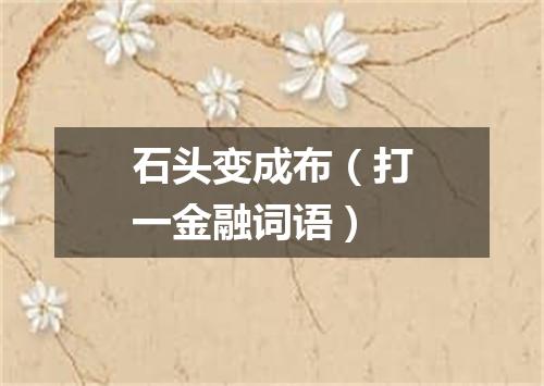 石头变成布（打一金融词语）
