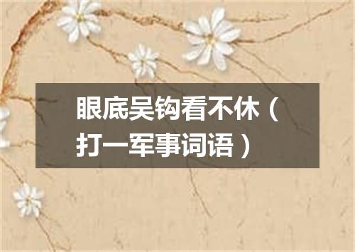 眼底吴钩看不休（打一军事词语）