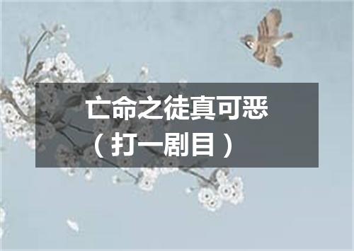 亡命之徒真可恶（打一剧目）
