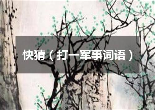 快猜（打一军事词语）
