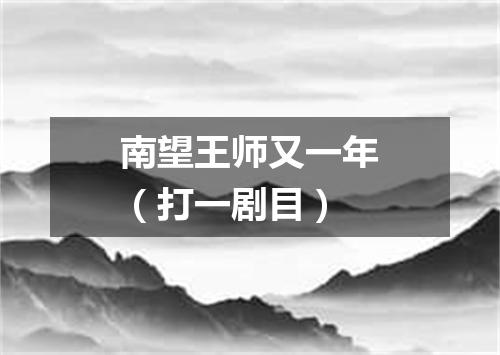 南望王师又一年（打一剧目）