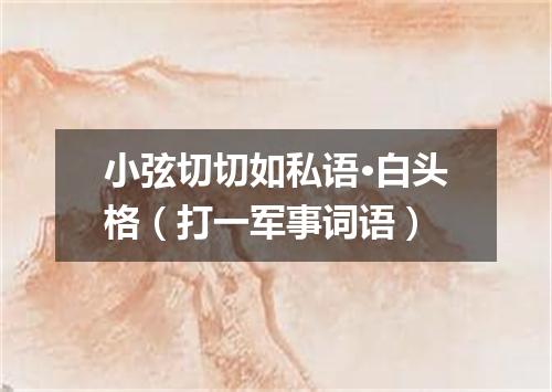 小弦切切如私语·白头格（打一军事词语）