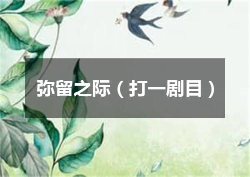 弥留之际（打一剧目）