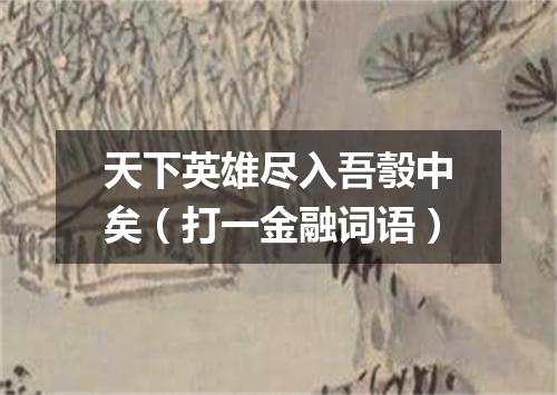 天下英雄尽入吾彀中矣（打一金融词语）