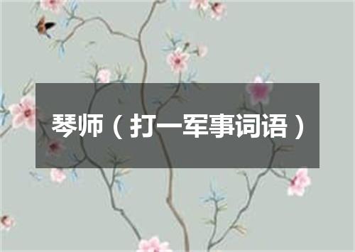 琴师（打一军事词语）