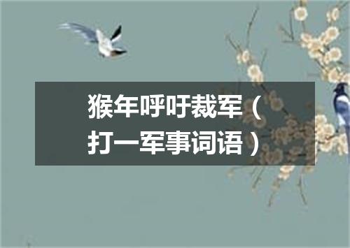 猴年呼吁裁军（打一军事词语）