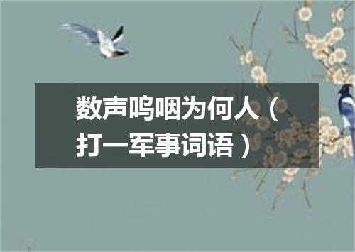 数声呜咽为何人（打一军事词语）