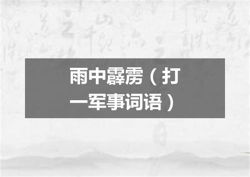 雨中霹雳（打一军事词语）