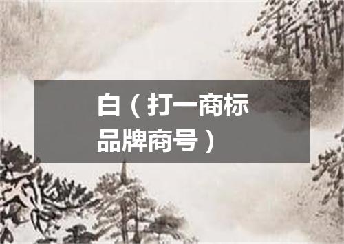 白（打一商标品牌商号）