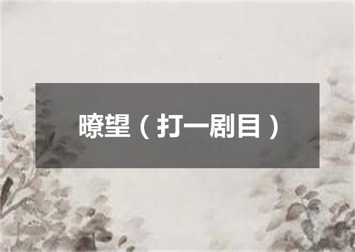暸望（打一剧目）