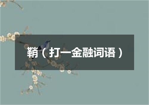 鞘（打一金融词语）