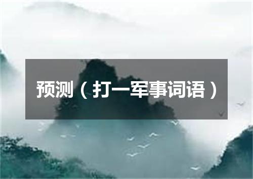 预测（打一军事词语）