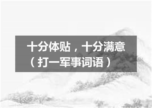 十分体贴，十分满意（打一军事词语）