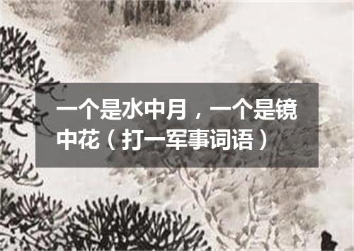 一个是水中月，一个是镜中花（打一军事词语）