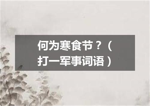 何为寒食节？（打一军事词语）
