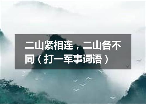 二山紧相连，二山各不同（打一军事词语）