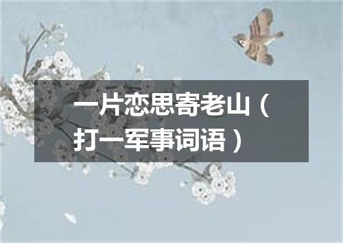 一片恋思寄老山（打一军事词语）