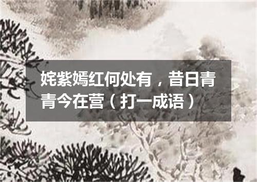 姹紫嫣红何处有，昔日青青今在营（打一成语）