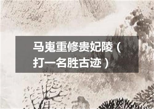 马嵬重修贵妃陵（打一名胜古迹）