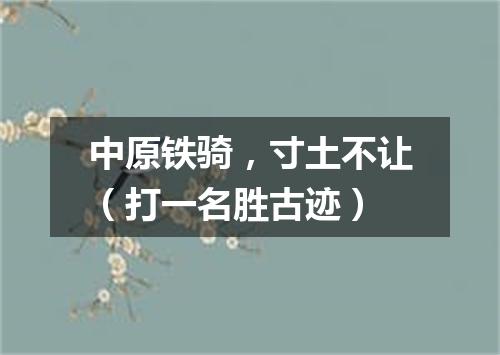 中原铁骑，寸土不让（打一名胜古迹）