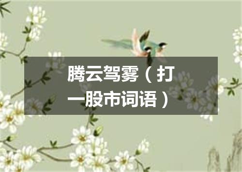 腾云驾雾（打一股市词语）