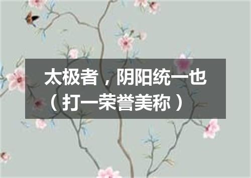 太极者，阴阳统一也（打一荣誉美称）