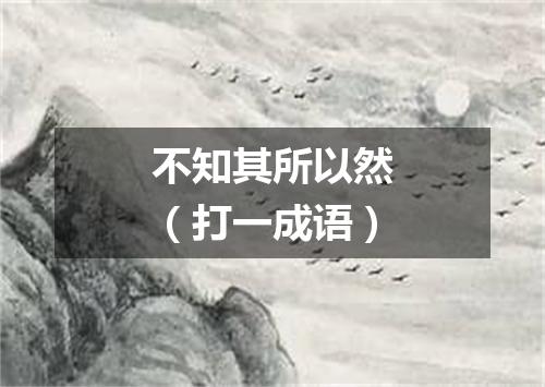 不知其所以然（打一成语）
