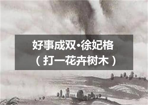 好事成双·徐妃格（打一花卉树木）