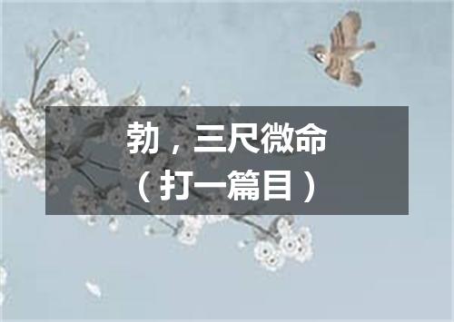 勃，三尺微命（打一篇目）