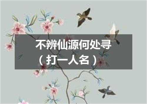 不辨仙源何处寻（打一人名）