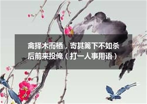 禽择木而栖，寄其篱下不如杀后前来投俺（打一人事用语）