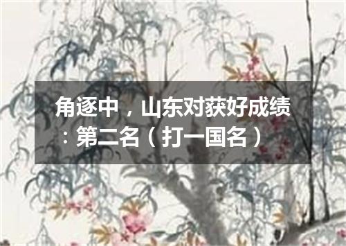 角逐中，山东对获好成绩：第二名（打一国名）