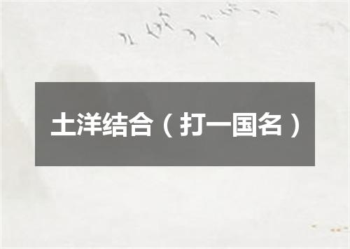 土洋结合（打一国名）